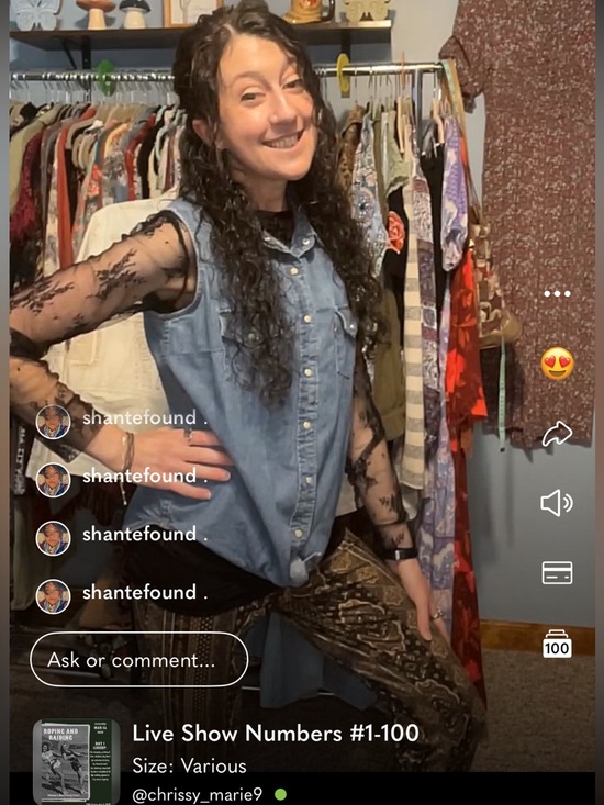 🤠🚂 ROPING & RAIDING Western Boho Train Show - Picture 10 of 12